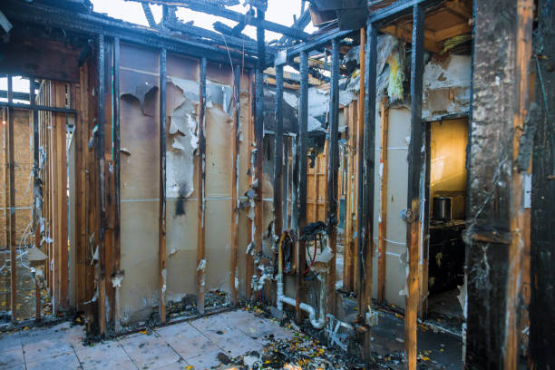 Professional Smoke Damage Removal technician working in Collegeville, PA